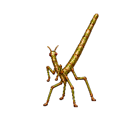 王道ファンタジーの敵キャラ「小枝槍ナナフシ」の立ち絵イラスト