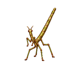 王道ファンタジーの敵キャラ「小枝槍ナナフシ」の立ち絵イラスト